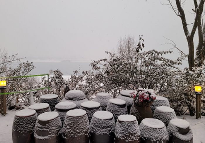 전경